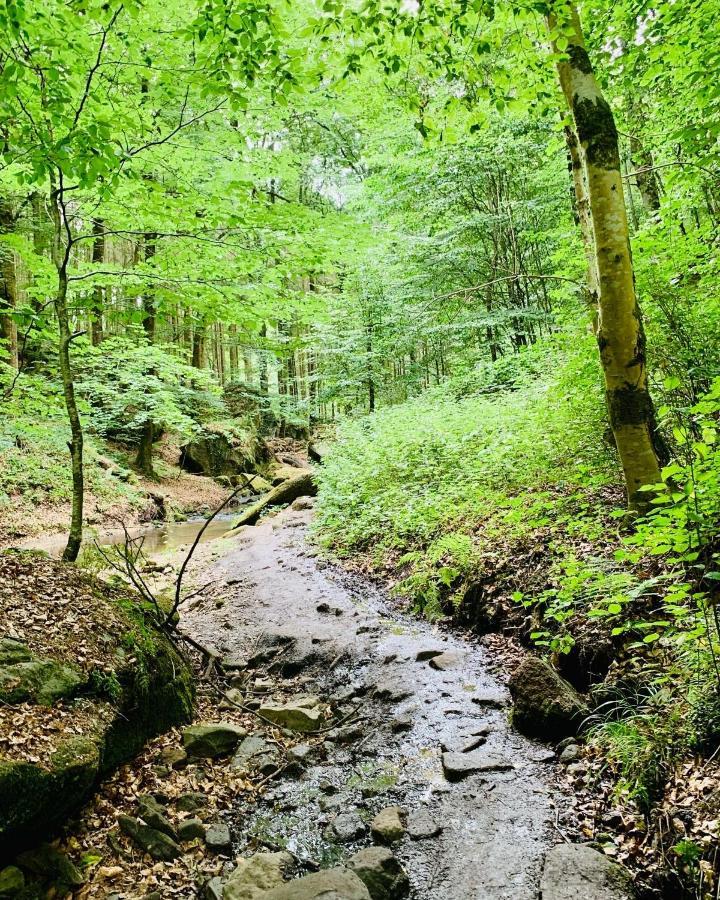 Tailor'S Trail Gite D'Adventure Beaufort Mullerthal Εξωτερικό φωτογραφία